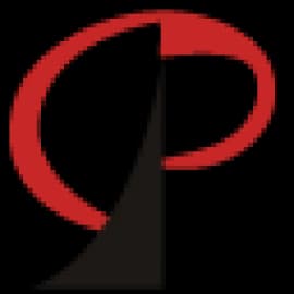 Prodigy Group logo